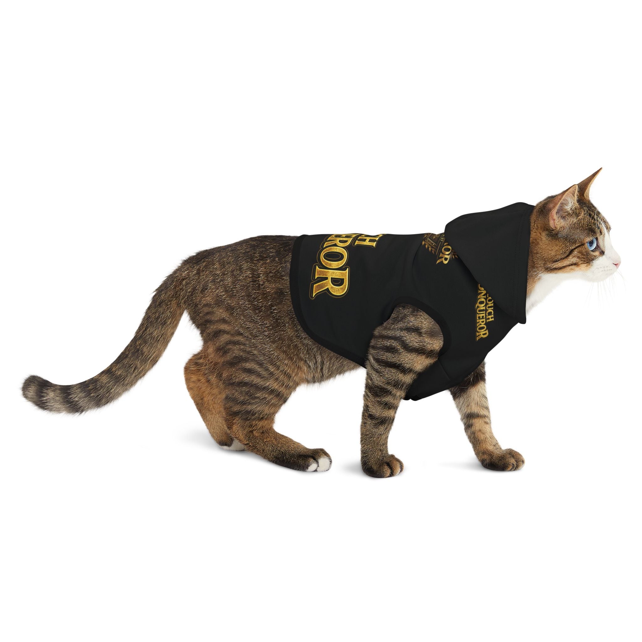 Couch Conqueror Pet Hoodie