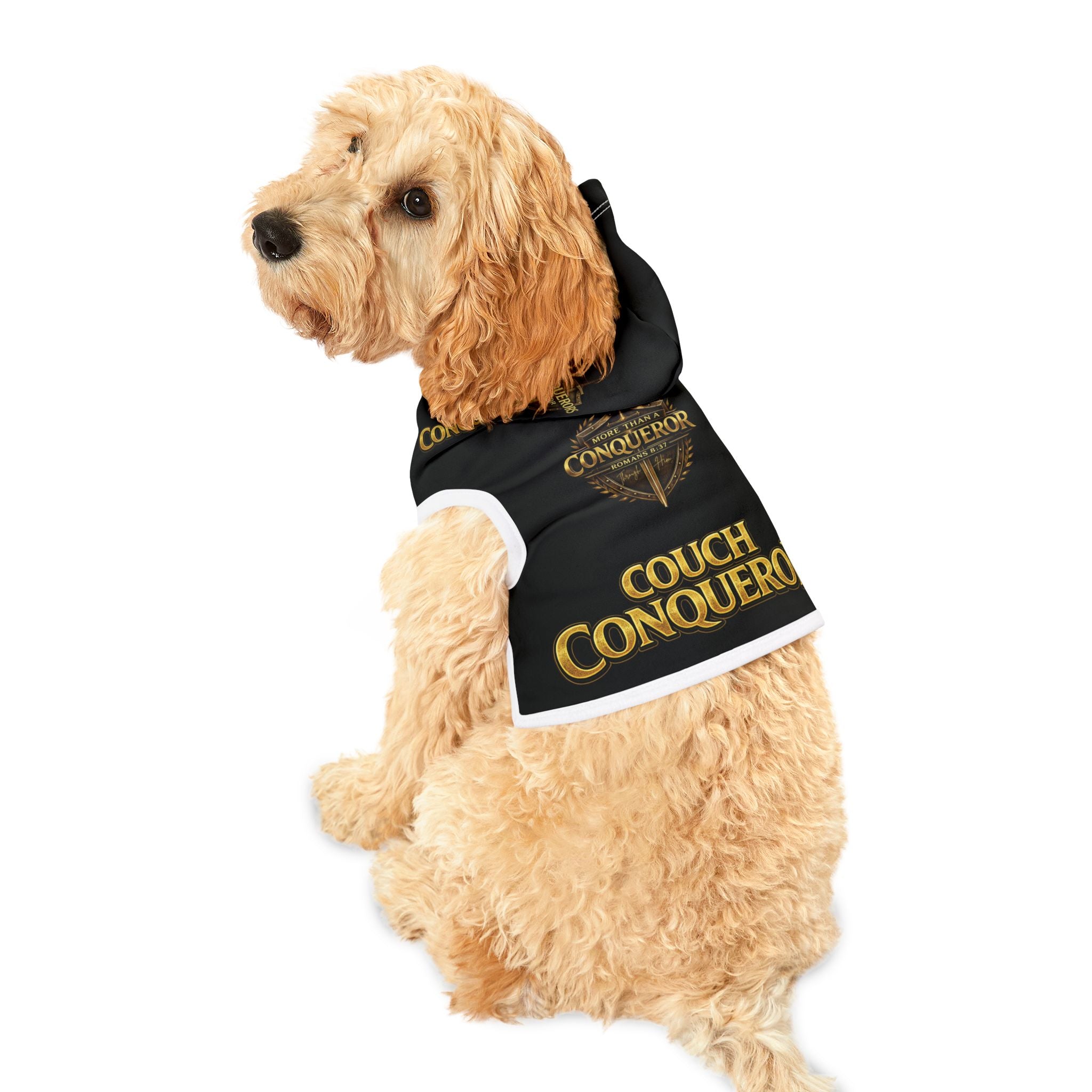 Couch Conqueror Pet Hoodie