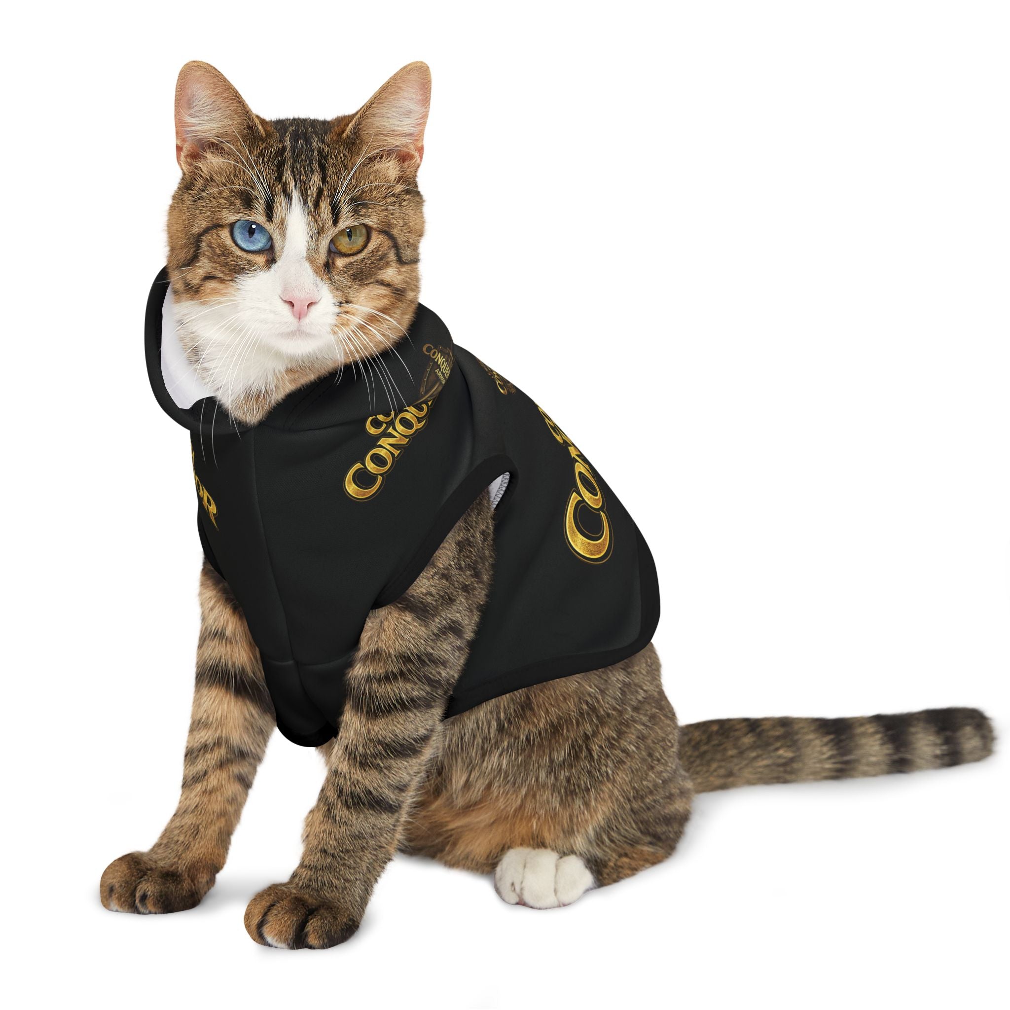 Couch Conqueror Pet Hoodie