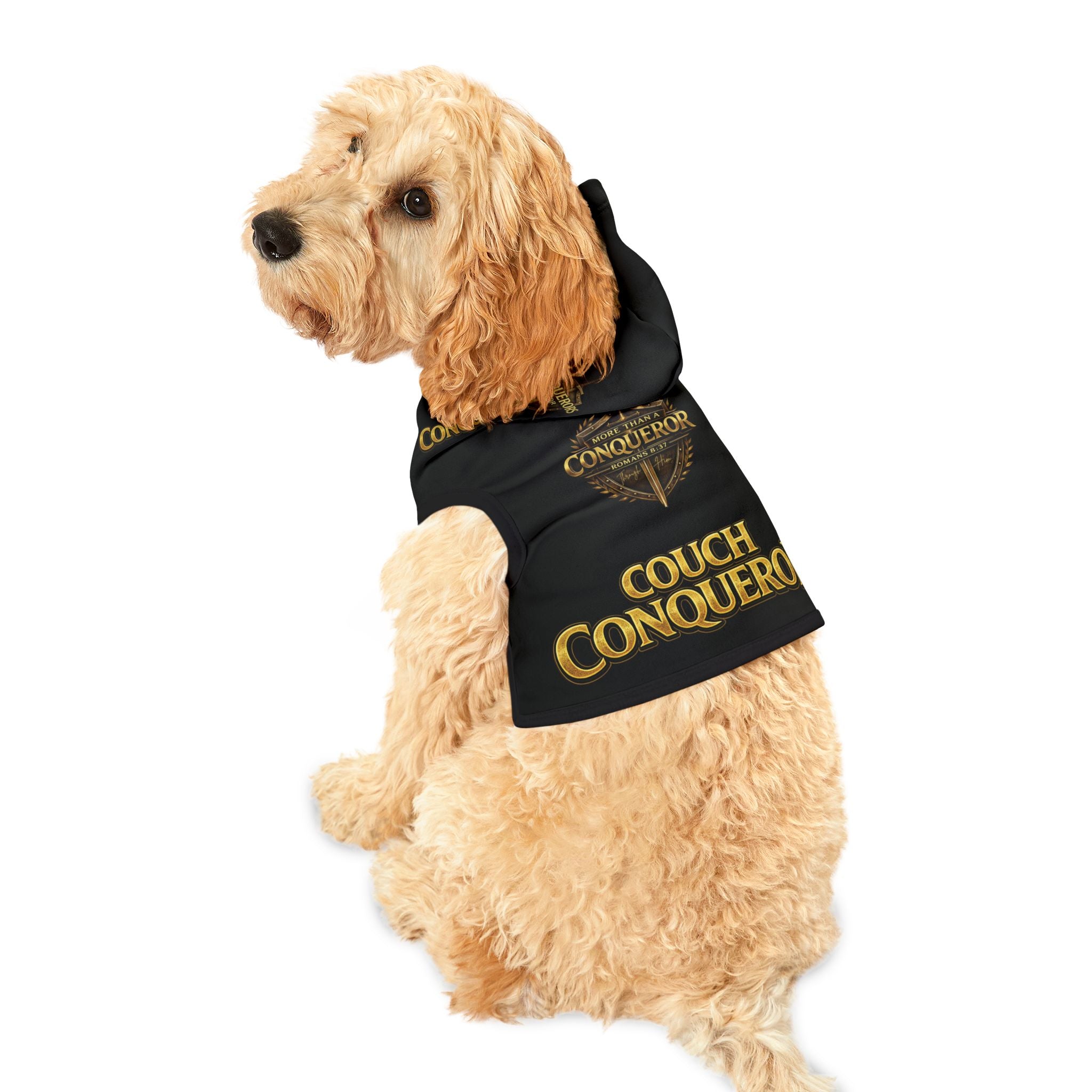 Couch Conqueror Pet Hoodie